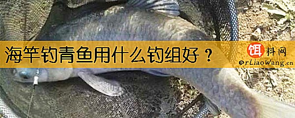 海竿钓青鱼用什么钓组好