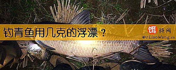 钓青鱼用几克的浮漂