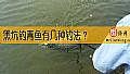 《黑坑钓青鱼有几种钓法？》封面图