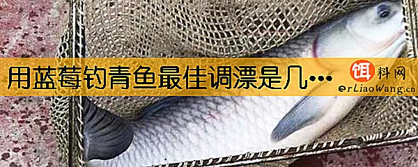 用蓝莓钓青鱼最佳调漂是几目