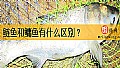 《鲢鱼和鳙鱼有什么区别？》封面图
