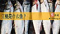 《江鲢是什么鱼？》封面图