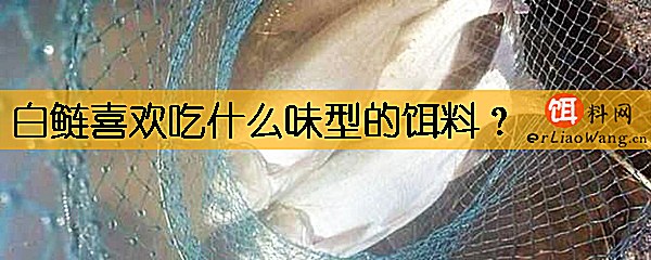 白鲢喜欢吃什么味型的饵料