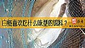 《白鲢喜欢吃什么味型的饵料？》封面图