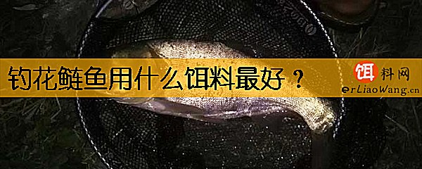 钓花鲢鱼用什么饵料最好