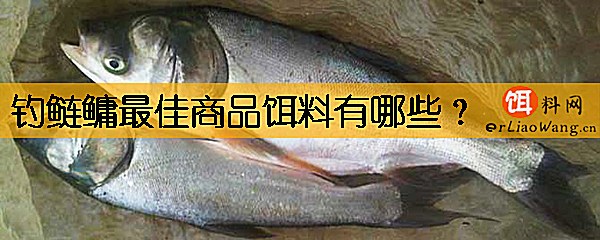 钓鲢鳙最佳商品饵料有哪些