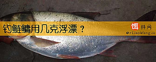 钓鲢鳙用几克浮漂