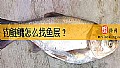 钓鲢鳙怎么找鱼层？