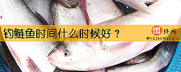 钓鲢鱼时间什么时候好
