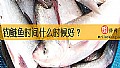《钓鲢鱼时间什么时候好？》封面图