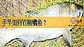 《手竿如何钓鲢鳙鱼？》封面图