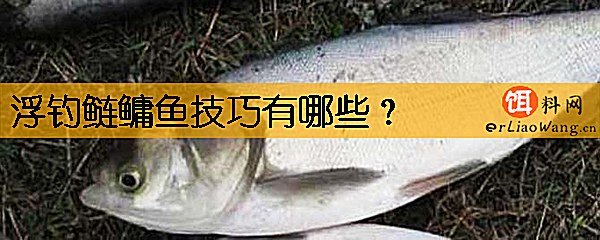 浮钓鲢鳙鱼技巧有哪些