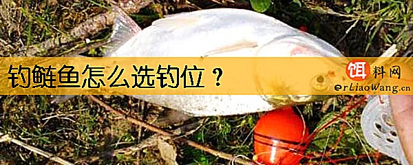钓鲢鱼怎么选钓位