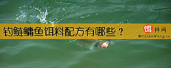钓鲢鳙鱼饵料配方有哪些