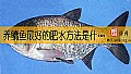 《养鳙鱼最好的肥水方法是什么？》封面图