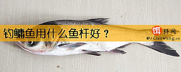 钓鳙鱼用什么鱼杆好