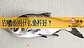 钓鳙鱼用什么鱼杆好？