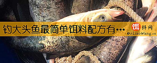 钓大头鱼最简单饵料配方有哪些