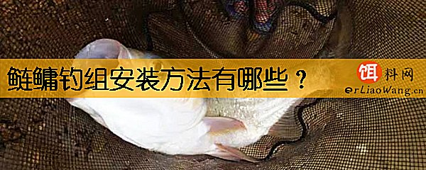 鲢鳙钓组安装方法有哪些