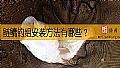 鲢鳙钓组安装方法有哪些？