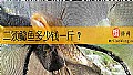 《二须鲶鱼多少钱一斤？》封面图