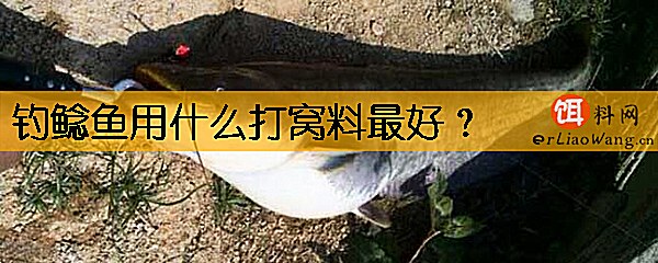 钓鲶鱼用什么打窝料最好