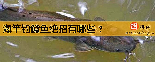 海竿钓鲶鱼绝招有哪些