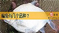 鳊鱼有几个品种？