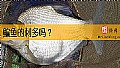 鳊鱼的刺多吗？