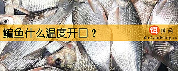 鳊鱼什么温度开口