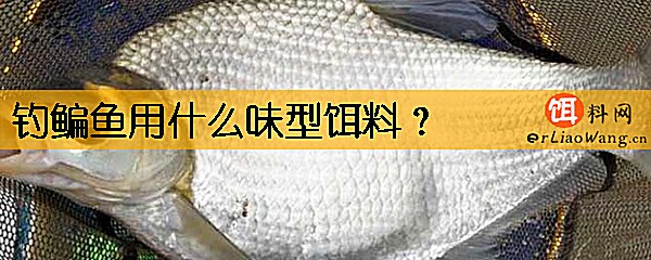 钓鳊鱼用什么味型饵料