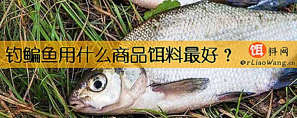 钓鳊鱼用什么商品饵料最好