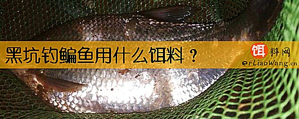 黑坑钓鳊鱼用什么饵料