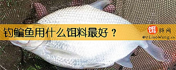 钓鳊鱼用什么饵料最好