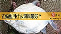 《钓鳊鱼用什么饵料最好？》封面图