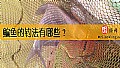 鳊鱼的钓法有哪些？