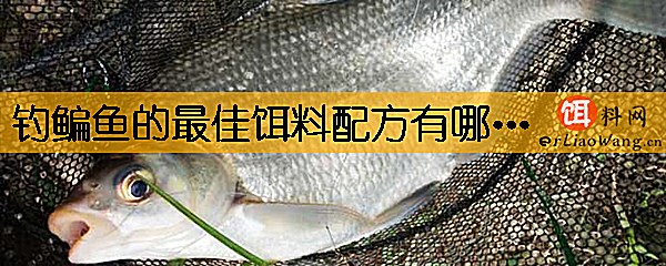 钓鳊鱼的最佳饵料配方有哪些