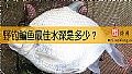 野钓鳊鱼最佳水深是多少？
