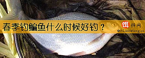 春季钓鳊鱼什么时候好钓