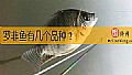 《罗非鱼有几个品种?》封面图