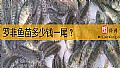 罗非鱼苗多少钱一尾？