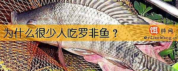 为什么很少人吃罗非鱼