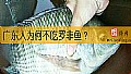 《广东人为何不吃罗非鱼？》封面图