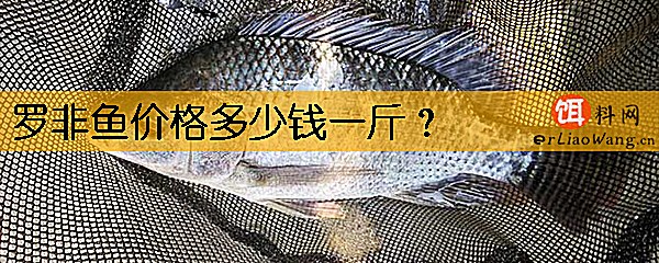 罗非鱼价格多少钱一斤