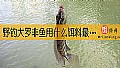 《野钓大罗非鱼用什么饵料最好?》封面图