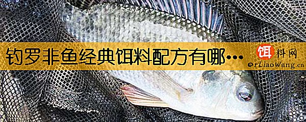 钓罗非鱼经典饵料配方有哪些