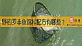 野钓罗非鱼饵料配方有哪些？