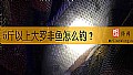 《5斤以上大罗非鱼怎么钓？》封面图