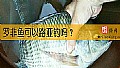 《罗非鱼可以路亚钓吗？》封面图