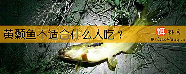 黄颡鱼不适合什么人吃